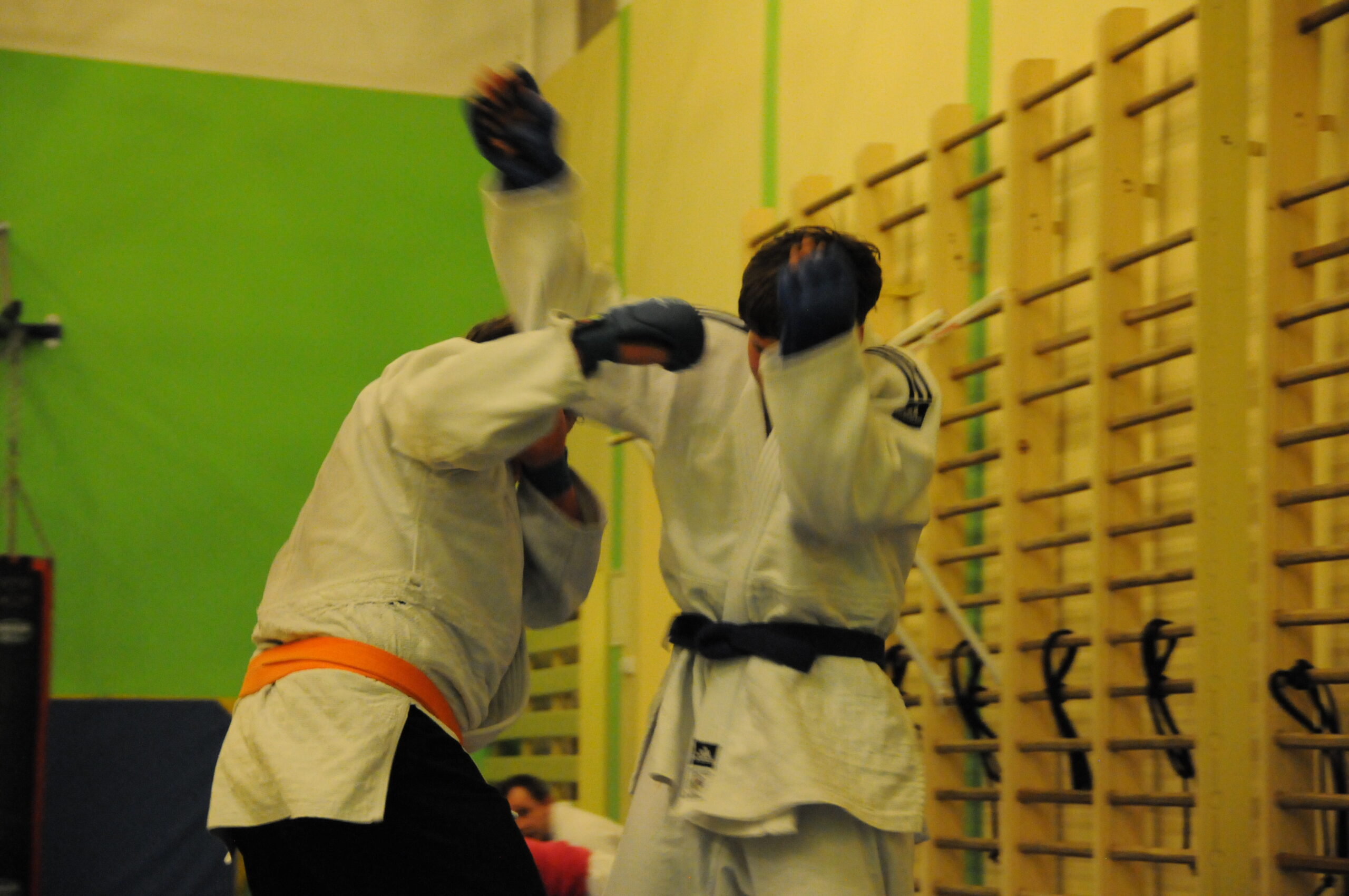 Sekcja Ju-jutsu